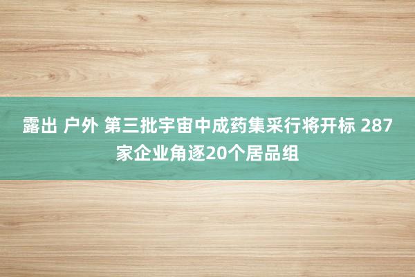 露出 户外 第三批宇宙中成药集采行将开标 287家企业角逐20个居品组