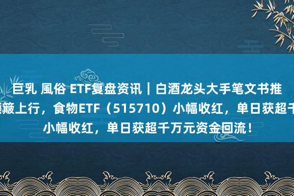 巨乳 風俗 ETF复盘资讯｜白酒龙头大手笔文书推动！吃喝板块颠簸上行，食物ETF（515710）小幅收红，单日获超千万元资金回流！