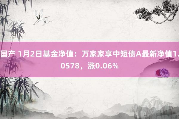 国产 1月2日基金净值：万家家享中短债A最新净值1.0578，涨0.06%