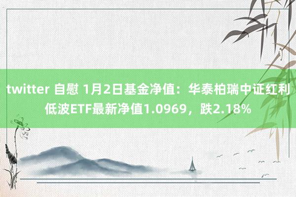 twitter 自慰 1月2日基金净值：华泰柏瑞中证红利低波ETF最新净值1.0969，跌2.18%