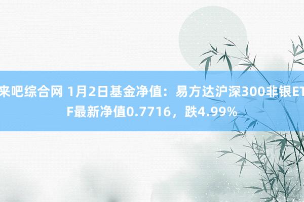 来吧综合网 1月2日基金净值：易方达沪深300非银ETF最新净值0.7716，跌4.99%