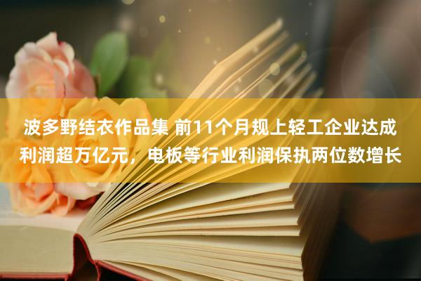 波多野结衣作品集 前11个月规上轻工企业达成利润超万亿元，电板等行业利润保执两位数增长