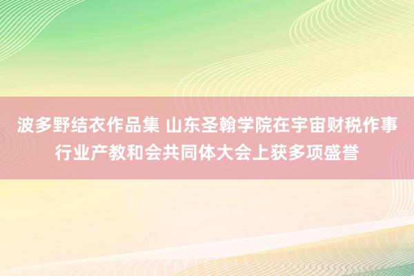 波多野结衣作品集 山东圣翰学院在宇宙财税作事行业产教和会共同体大会上获多项盛誉