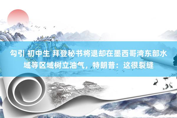 勾引 初中生 拜登秘书将退却在墨西哥湾东部水域等区域树立油气，特朗普：这很裂缝