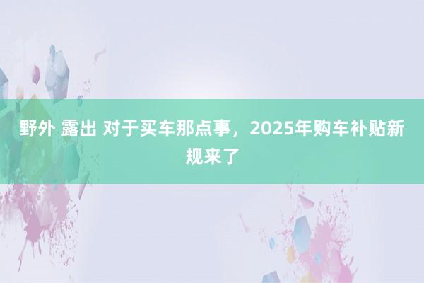 野外 露出 对于买车那点事，2025年购车补贴新规来了