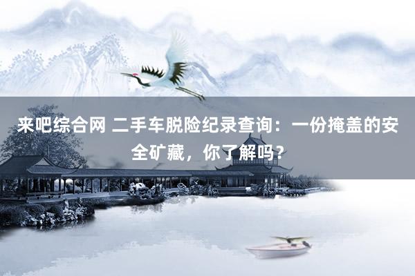 来吧综合网 二手车脱险纪录查询：一份掩盖的安全矿藏，你了解吗？