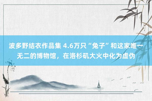 波多野结衣作品集 4.6万只“兔子”和这家唯一无二的博物馆，在洛杉矶大火中化为虚伪