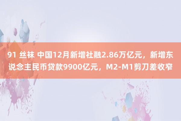 91 丝袜 中国12月新增社融2.86万亿元，新增东说念主民币贷款9900亿元，M2-M1剪刀差收窄