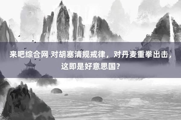 来吧综合网 对胡塞清规戒律，对丹麦重拳出击，这即是好意思国？